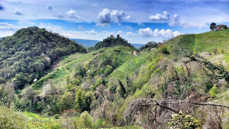 Agriturismo Al Credazzo Farra di Soligo Kültér fotó