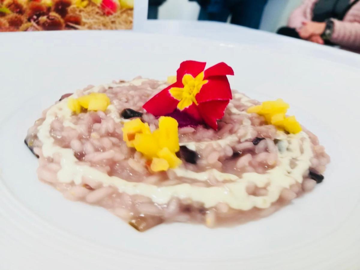 Agriturismo Al Credazzo Farra di Soligo Kültér fotó